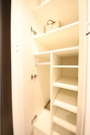 ハーモニーレジデンス武蔵小杉#002の物件内観写真